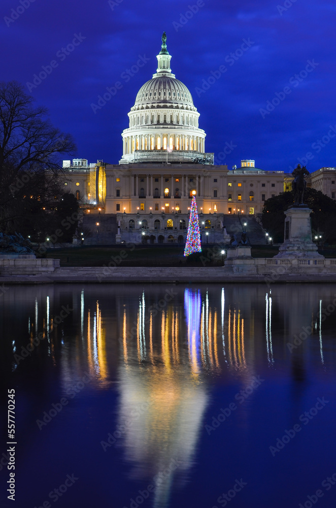 Poster washington dc - capitol building and christmas tree