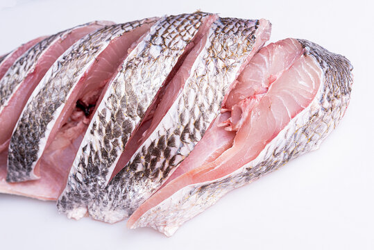 Robalo branco peixe