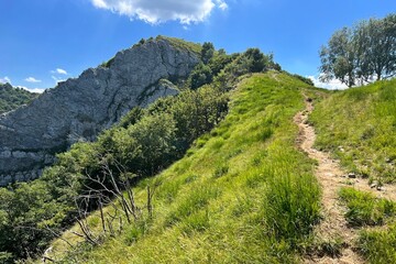 path in the mountains