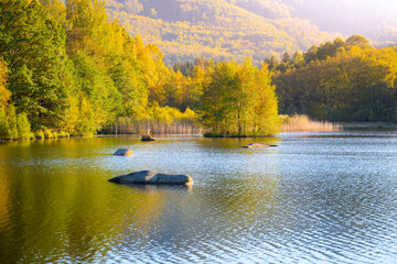 Fototapeta na wymiar Autumn beech forest reflecter in the water. Jizera Mountains Beech Forest, Czech Republic