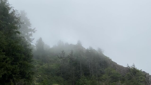 morning dew mountain fog coastal mist hillside coast moving forest landscape