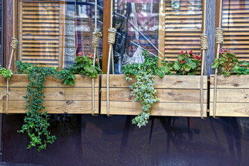 Fototapeta na wymiar a row of flowerpots from wooden brown boxes with green ornamental plants and flowers hang on ropes at the window of a building on the street