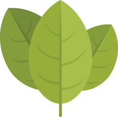 Cooking basil icon flat vector. Herb leaf. Spice plant isolated