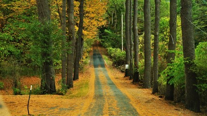 Obraz premium Otoño