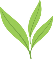 Sage icon flat vector. Leaf plant. Herb flower isolated