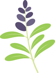 Sage witch icon flat vector. Herb plant. Leaf flower isolated