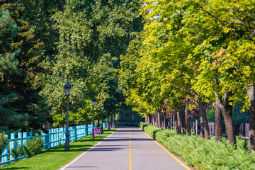 Empty road, street lamps, wooden fence and green trees , Ukraine
