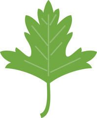 Aromatic parsley icon flat vector. Leaf herb. Leaves plant isolated