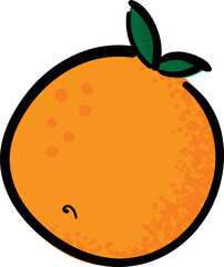 Orange hand drawn vector illustration.  Artsy orange fruit graphic.