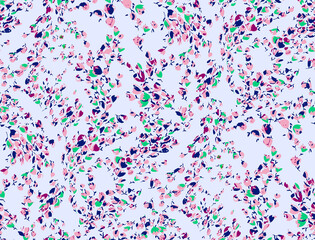 Blooming midsummer meadow seamless pattern. Plant backgrounds for fashion, wallpapers, print. There are a lot of different flowers on the field. Freedom style millefleurs. trendy flower design