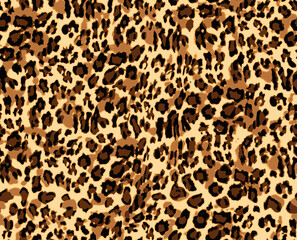Seamless leopard pattern can be used for graphic design textile design or web design.
