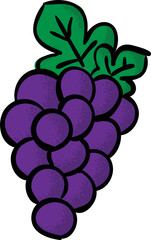 Grapes hand drawn vector illustration.  Artsy fruit grapes graphic.