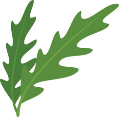 Fototapeta premium Rucola plant icon flat vector. Vegetable arugula. Leaf salad isolated
