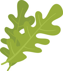 Rocket rucola icon flat vector. Arugula salad. Leaf plant isolated