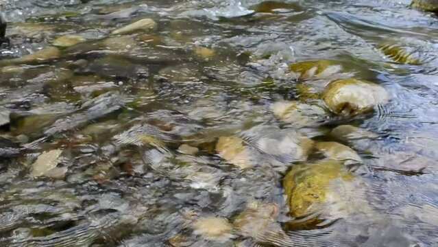 Mountain river. Stones and water