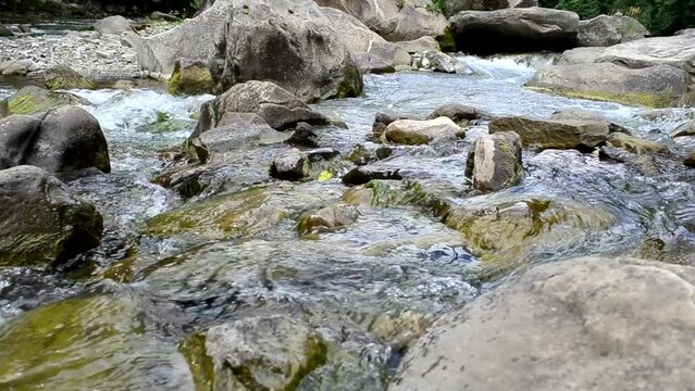 Mountain river. Stones and water