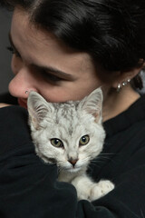 Furry little kitten being loves being held.