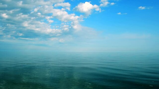 Sea landscape. Sea and clouds and seagulls.