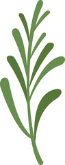 Rosemary icon flat vector. Herb plant. Branch leaf isolated