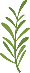 Rosemary herb icon flat vector. Green plant. Leaf branch isolated