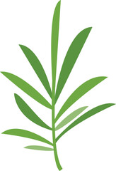 Rosemary leaf icon flat vector. Herb plant. Botanical flower isolated