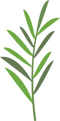 Rosemary branch icon flat vector. Herb plant. Green leaf isolated