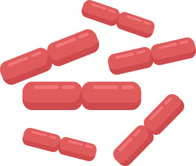 Fermentation probiotic icon flat vector. Gut bacteria. Healthy intestine isolated