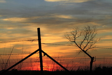 Kansas Sunset with a farm fence and tree silhouettes