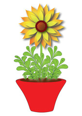 Illustration of a large symbolic sunflower in a red pot. Large-flowered yellow flower in a white background in vector and jpg.