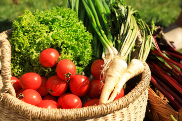 Different fresh ripe vegetables in wicker basket outdoors, closeup