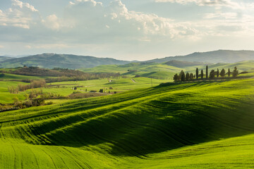 Fototapeta na wymiar Green hills of the Tuscany countryside, Italy