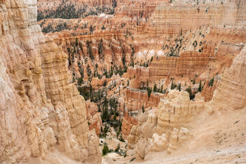 View Down Into Bryce Canyon Between Two White Hoodoos