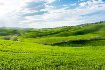 Green hills of the Tuscany countryside , Italy