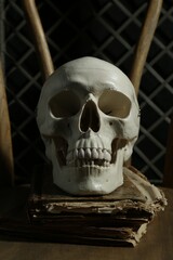 Human skull and old books on wooden chair