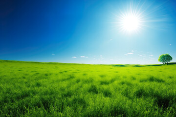 Fototapeta na wymiar Background of summer scenery with a green grass field, blue sky, and brilliant sun. Generative AI