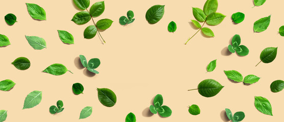 Green leaf frame design background - flat lay