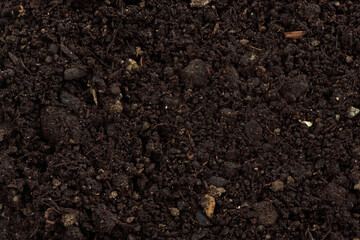 Compost organic fertilizer for soil closeup detail