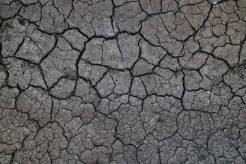 cracks on the ground desert texture background earth climate ecology