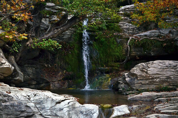 waterfall in the forest