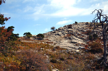 landscape in the mountains