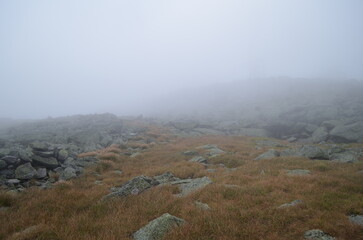 fog in the mountains