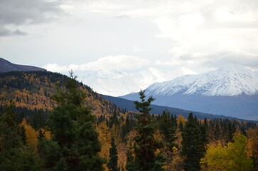 autumn in the mountains