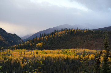 autumn in the mountains