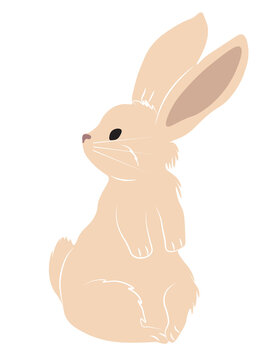 Cute lovely pretty cream color bunny, rabbit or hare. It's on the side and it's looking back. Easter symbol or mascot.  Vector Ilustration isolated on white background.