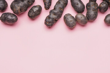 Raw purple potatoes on pink background