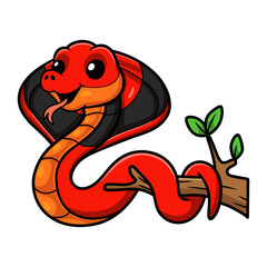 Cute red spitting cobra cartoon on tree branch