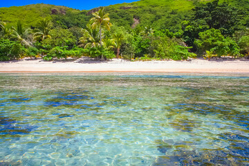 Tropical sandy beach at summer day in Fiji Islands, Pacific ocean