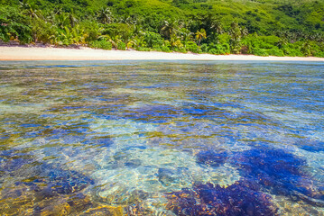 Tropical sandy beach at summer day in Fiji Islands, Pacific ocean