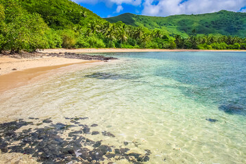 Tropical sandy beach at summer day in Fiji Islands, Pacific ocean