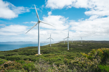 Wind farm near Albany on the southwest coast of Australia.